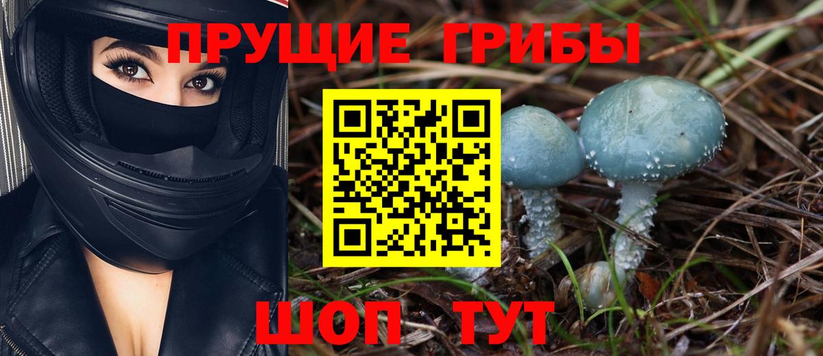 Галлюциногенные грибы мицелий  купить наркотик  Лысьва  Вход с VPN 